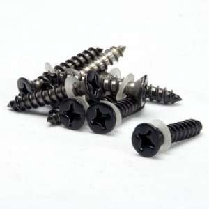  Fortress Pure View SS Self Tap Screws and Washers   Pack 