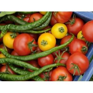 Summer Greenhouse Harvest of Tomatoes and Chillies in Rustic Trug 