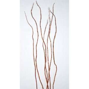  Curly Willow Branches for Centerpieces (Short Stem)
