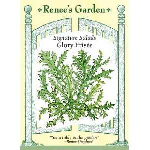  Greens   Frisee  Glory Seeds Patio, Lawn & Garden