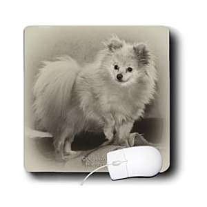  Milas Art Dogs   Pomeranian   Mouse Pads Electronics