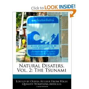   Disaters, Vol. 2 The Tsunami (9781241000226) Olivia Atelier Books