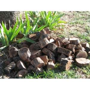  5 Lb Mesquite Root Smoker Chunks Patio, Lawn & Garden
