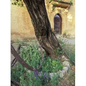  Garden Courtyard of 17th Century Kasbah, Morocco Stretched 