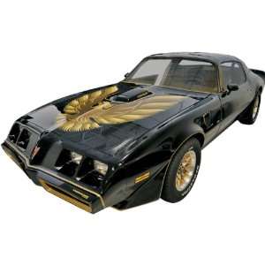 1978 1980 Trans Am Special Edition Ultimate Decal & Premolded Stripe 