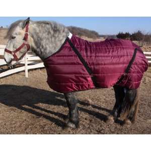  Pony Stable Blanket   51 