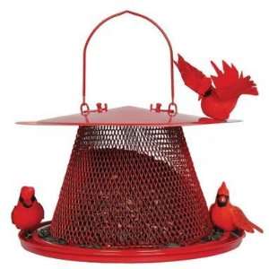 Best Quality No/No Cardinal Feeder / Red Size By Sweet 
