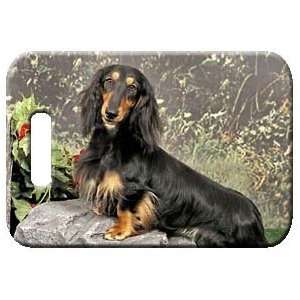    Set of 2 Dachshund   Longhaired Luggage Tags 