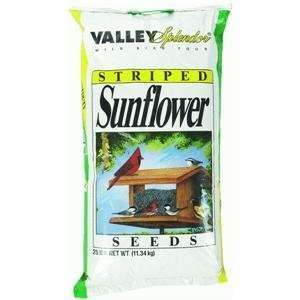  Red River Commodities 23002 D Stripe Sunflower Pet 