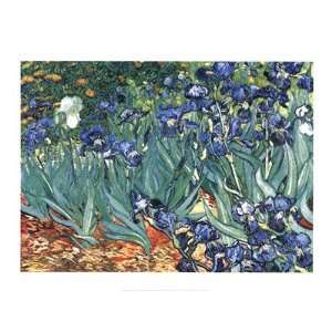  Irises, Saint Remy, c.1889 Finest LAMINATED Print Vincent 