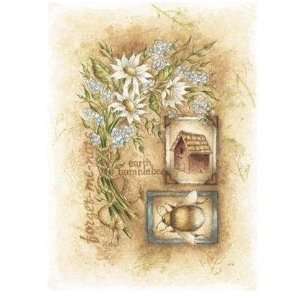  Forget Me Nots    Print