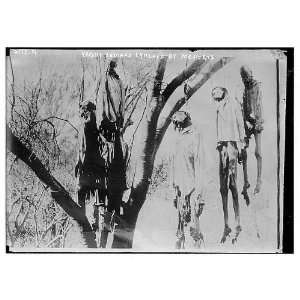  Yaqui Indians lynched by Mexicans