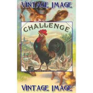   inch x 4 inch (14 x 10cm) Bird Challenge Vintage Image