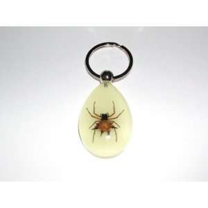  Glow in the dark Real Insect Keychain   Spiny Spider 