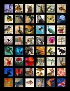 Nature Series #3 1x1 Inch Images Scrabble Collage Sheet  