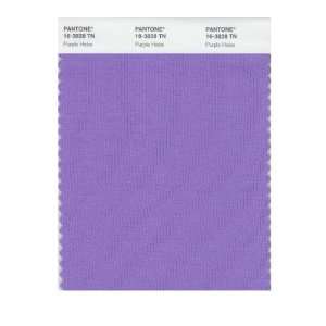  Pantone 16 3828 Nylon Brights Color Swatch Card