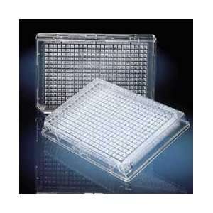  384 Well Plates Polypropylene Untreated Plates, Nonsterile 