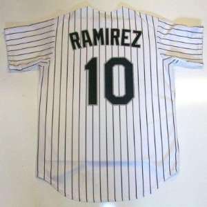  Alexei Ramirez Chicago White Sox Jersey   Medium Sports 