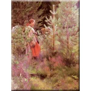    Vallkulla 12x16 Streched Canvas Art by Zorn, Anders