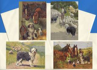 OLD ENGLISH SHEEPDOG 4 DOG PRINT GREETINGS NOTE CARDS 2  