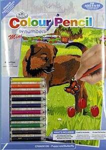   PENCIL BY NUMBERS MINI KIT 127mm x 177.8 mm   PUPPY & BUTTERFLY  