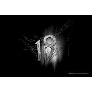  Eighteen Visions   Poster Flags