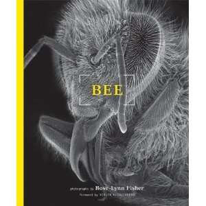  Bee [Paperback] Rose Lynn Fisher Books