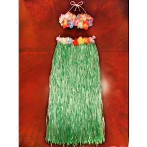  Hula Skirt with Imitates Rainbow Coconut Top, Purple Toys 