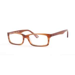  XRay 34   Brown Eyeglasses Frames Toys & Games