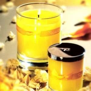   Sunflower Yellow Refill Recharge Candle #76017