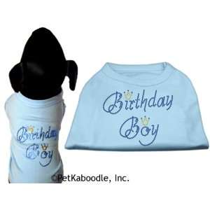  Baby Blue Rhinestone Birthday Boy Dog Tee Shirt Small