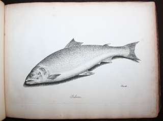 1808~The Anglers Manual~12 Etchings~Samuel Howitt~Original Binding 