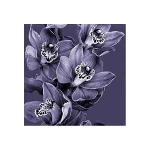  Mauve Orchid #3   Poster (19.7x19.7)