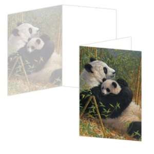  ECOeverywhere A New Dynasty Boxed Card Set, 12 Cards and 