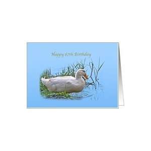  87th Birthday Card with Pekin Duck Card Toys & Games