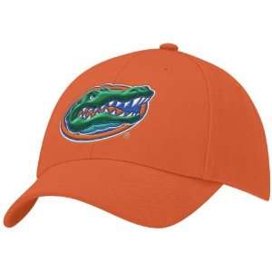  Nike Florida Gators Orange Swoosh Flex Fit Hat Sports 