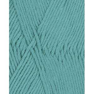  Berroco Comfort Yarn 9733 Turquoise Arts, Crafts & Sewing