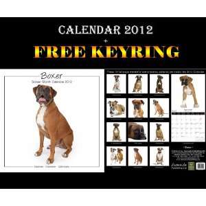 Boxer Studio Dogs Calendar 2012 + Free Keyring AVONSIDE  