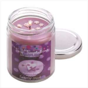  Boysen Berry Scented Candle