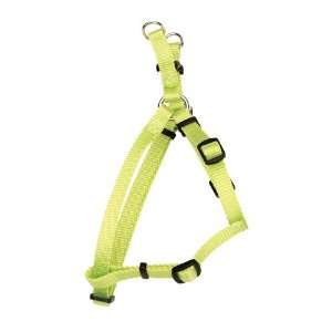  Comfort Wrap Nylon Harness   Lime   X Small   3/8 (12 to 