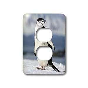   penguin nests   Light Switch Covers   2 plug outlet cover Home