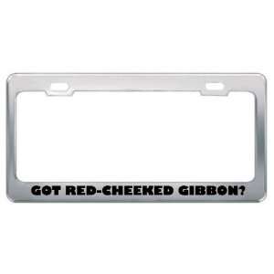 Got Red Cheeked Gibbon? Animals Pets Metal License Plate Frame Holder 