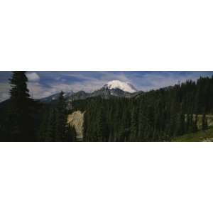 Winding Road on a Mountain, Mt Rainier, Mt Rainier National Park 