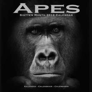  APES 2012 Wall Calendar 12 x 12