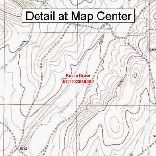  USGS Topographic Quadrangle Map   Burro Draw, Texas 