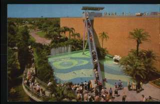 Postcard Busch Gardens Escalator Tampa Bay,Florida/FL  