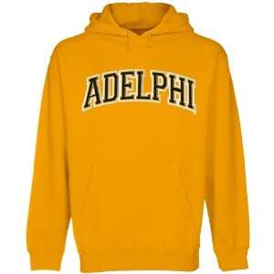  Adelphi University Panthers Arch Applique Pullover Hoodie 