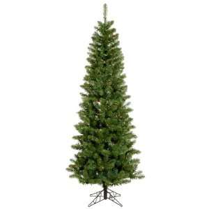  9.5 x 44 Salem Pencil Pine Christmas Tree w/ 1171T 495 