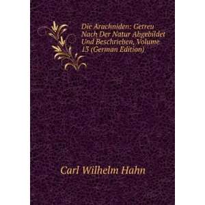   Und Beschrieben, Volume 13 (German Edition) Carl Wilhelm Hahn Books