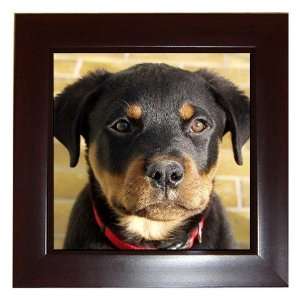  Rottweiler Puppy Dog 1 Framed Tile G0756 